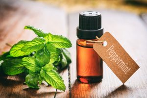 Peppermint oil to get rid of ants in the bathroom