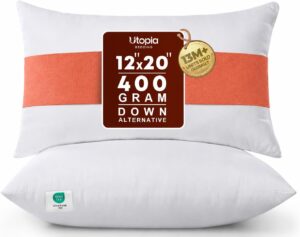 Throws Pillow 