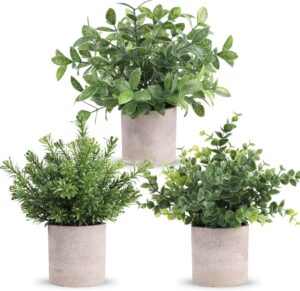 faux plant